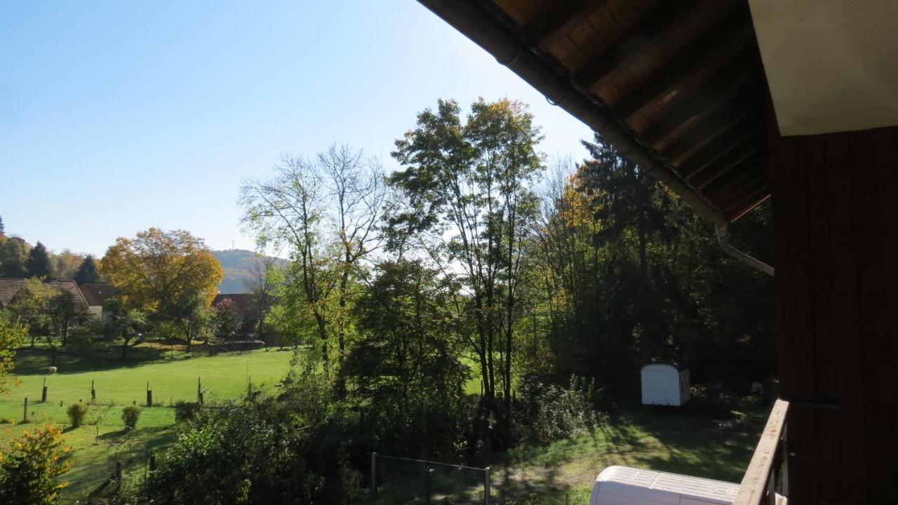 Fewo Mit Balkon Direkt Am Wald Und Wanderweg Ruhe Pur 2 Og Bad Sachsa Luaran gambar